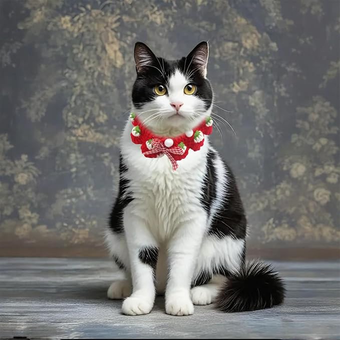 Cat Collar Breakaway, Kitten Collar - Image 3