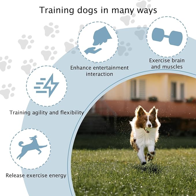 TNZMART Dog Agility Hurdle Cones Pet Jump Training Set Dog Agility Course - Image 5