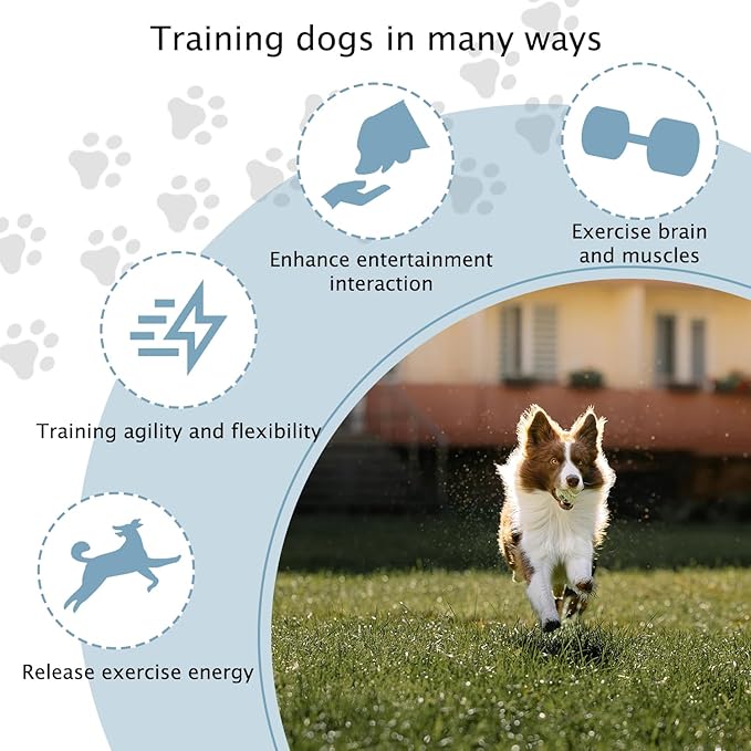 TNZMART Dog Agility Hurdle Cones Pet Jump Training Set Dog Agility Course - Image 5