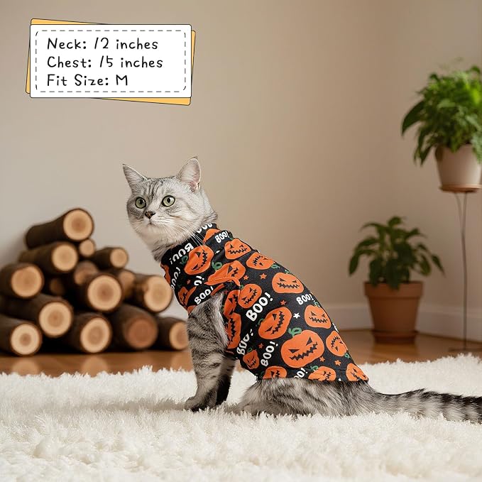 EXPAWLORER Cat Halloween Sweater - Image 5