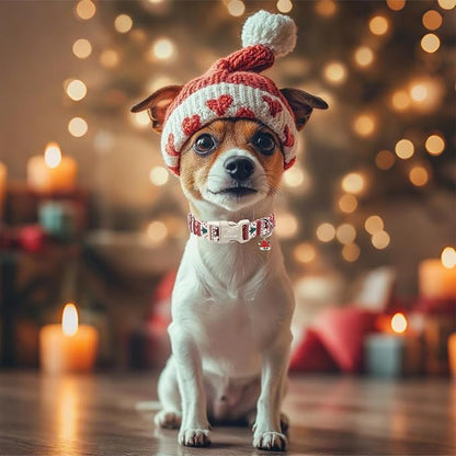 Christmas Dog Collar for Giant Large Dogs - Image 7