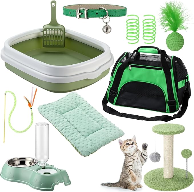 Eccliy Kitten Starter Kit, Pet Toy, Folding Carrier, Climbing Frame, Automatic by Eccliy