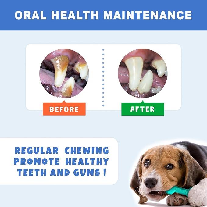 NOOVIA Durable Dog Chew Toy Rubber Bone 100% Natural Bite-Resistant Interactive - Image 6