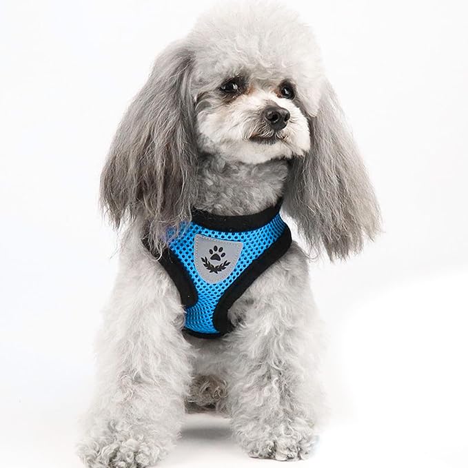 shudyear Summer cat Chest Harness and Leash, Anti-Escape Adjustable Soft mesh - Image 6
