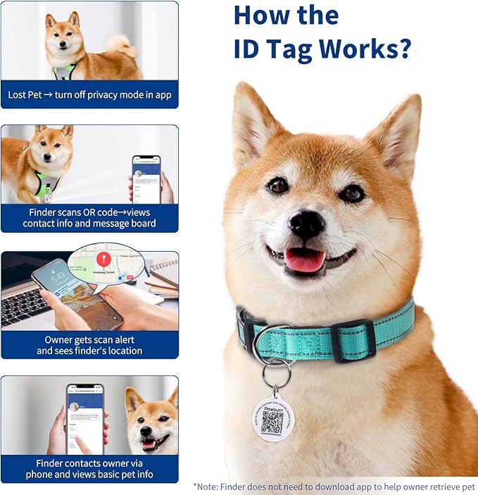 Reflective Dog Collar for Medium Dogs - Image 5
