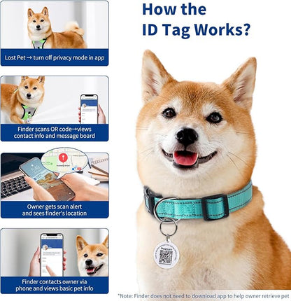 Reflective Dog Collar for Medium Dogs - Image 5