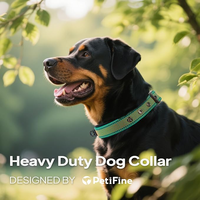 PetiFine Dog Collar for Large Dogs, Neoprene Padded and Adjustable, Reflective - Image 4