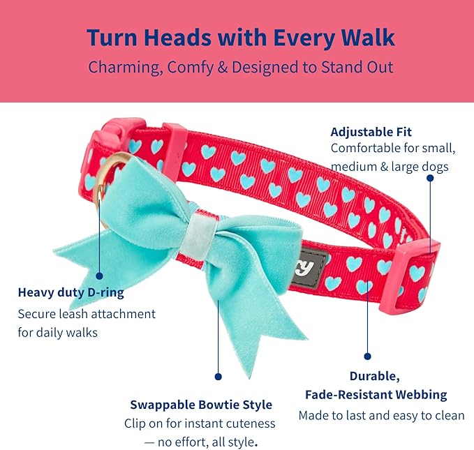 Blueberry Pet Adjustable Flocking Dog Collar - Image 3