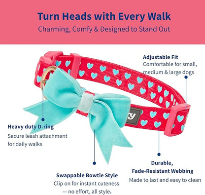 Blueberry Pet Adjustable Flocking Dog Collar - Image 3
