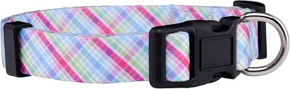 Native Pup Easter Dog Collar, Cute Spring Gift by NativePup