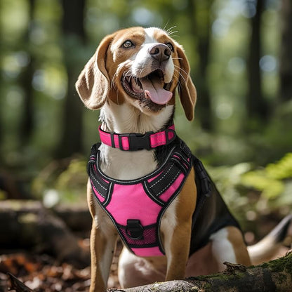 Joytale Reflective Dog Collar, Soft Neoprene Padded, Metal D-Ring, Nylon Pet - Image 2