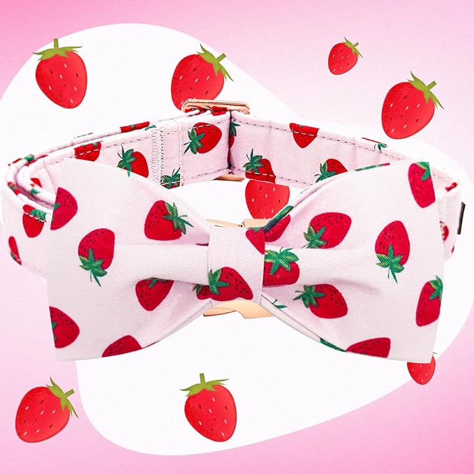 Elegant little tail Dog Collar, Strawberries Print Pet Collar Summer Dog Collar - Image 3