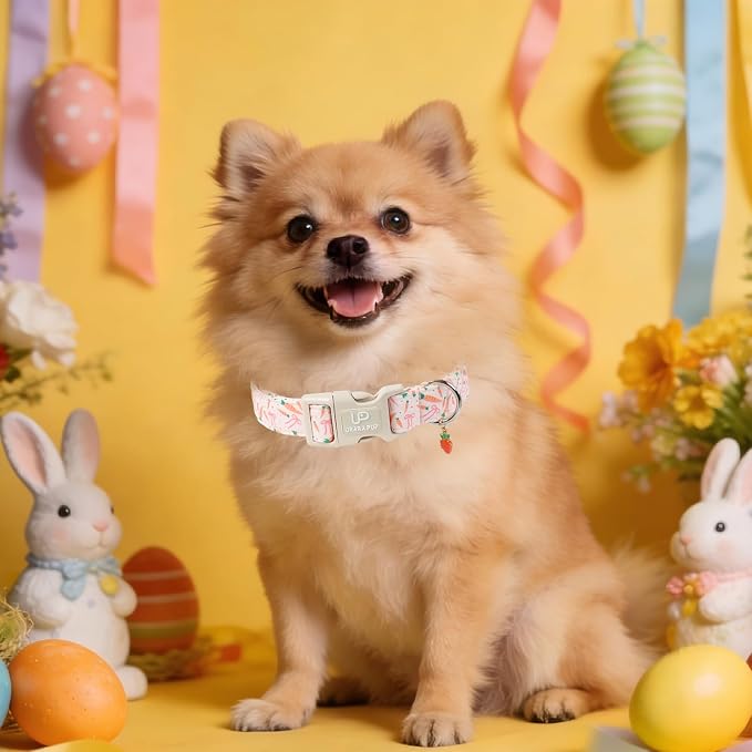 Easter Day Dog Collar, UP URARA PUP Easter Bunny Adjustable Pet Collar - Image 5