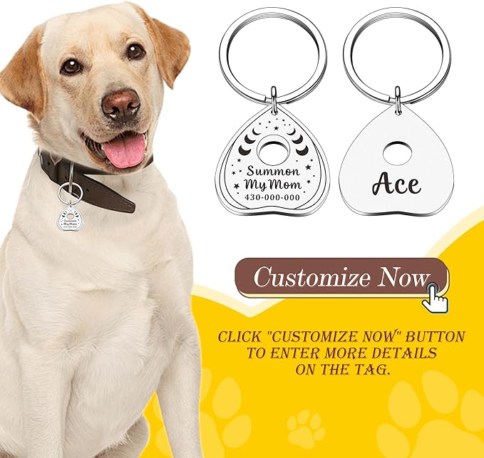 Cat Collar Tags Personalized - Image 2