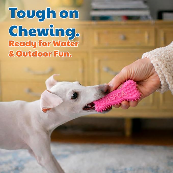 ASPCA 2-Pack Spiky TPR Puppy Teether Bones – Vanilla-Scented Teething Toys - Image 5
