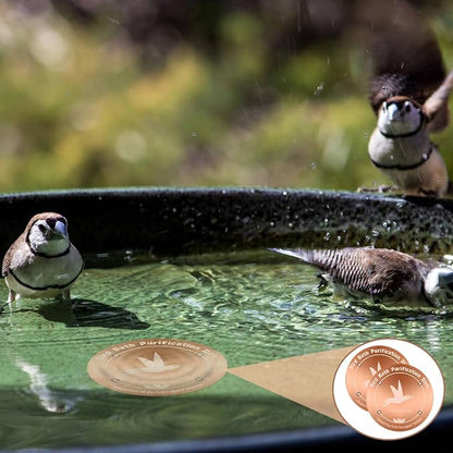 99.99% Pure Copper Bird Bath Purification Disk, 0.6mm thick, Reinforced Copper - Image 7