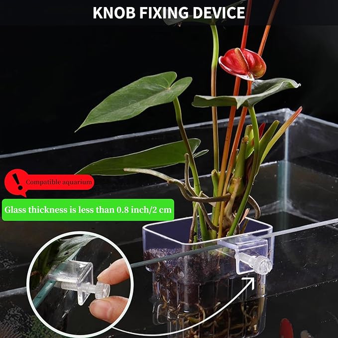 2 PCS Aquarium Plant Holder Top Hanging Fish Tank Plant Pot Aquarium Planter - Image 4