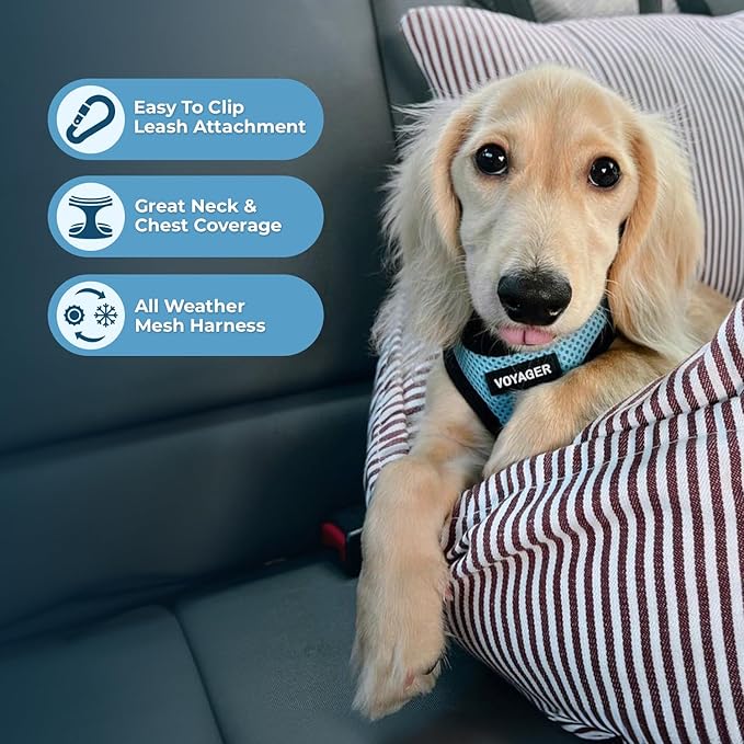 Best Pet Supplies Voyager Step-in Air Harness - Image 3