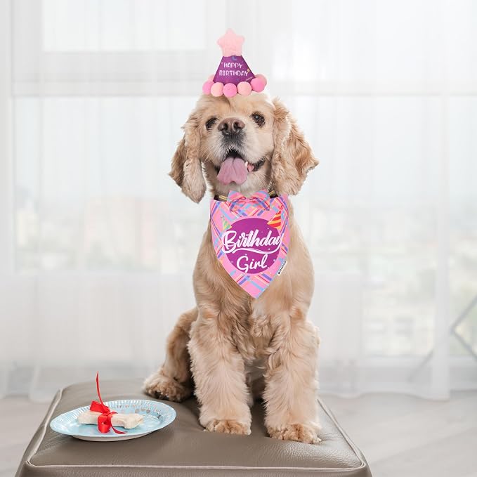 ADOGGYGO Dog Birthday Party Supplies - Image 2