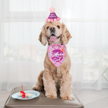 ADOGGYGO Dog Birthday Party Supplies - Image 2