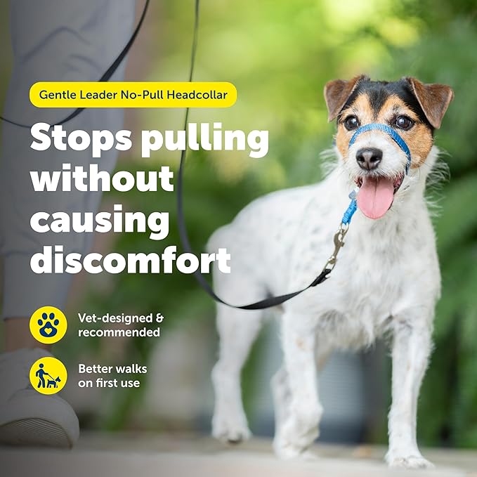 PetSafe Gentle Leader Headcollar No-Pull Dog Collar - Image 2