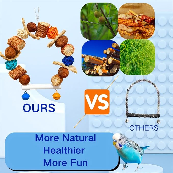 Parakeet Swing Toys, Bird Cage Hanging Chewing Toys, Natural Bird Parrot Toys - Image 3