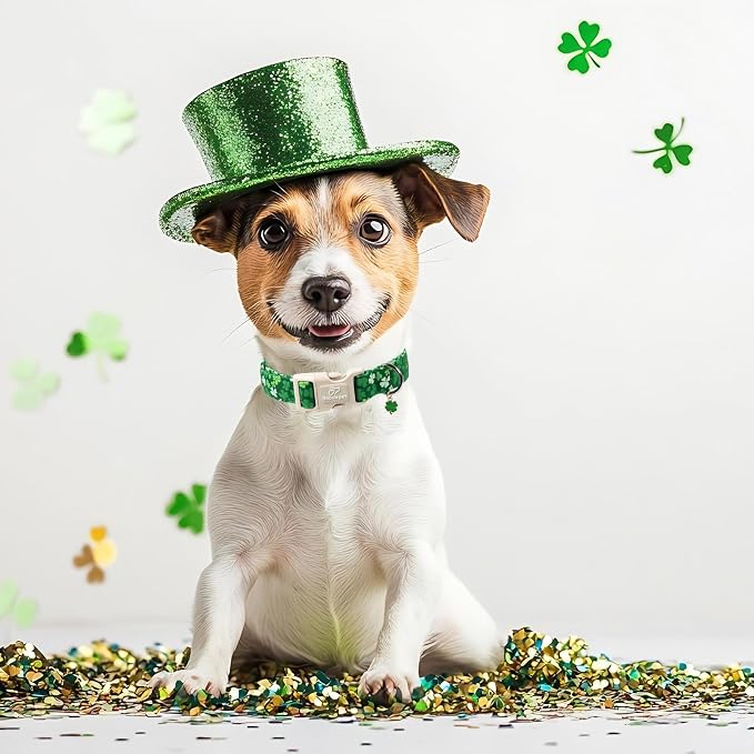 St. Patrick's Day Dog Collar for Small Dogs - Image 3