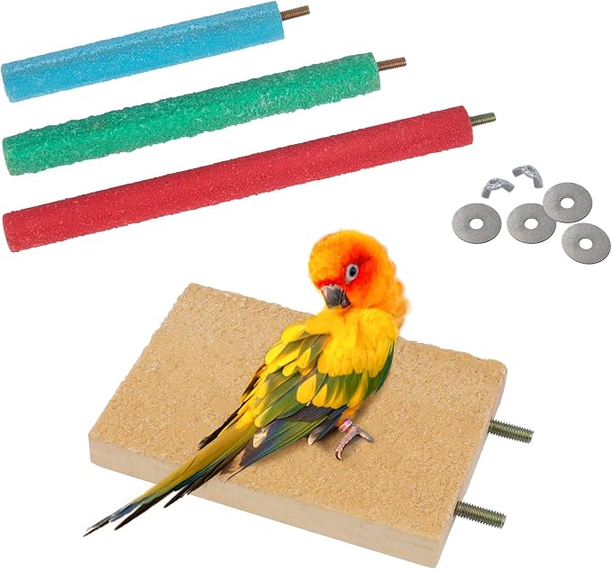 Bird Perches for Conure Stand Natural Wood Platform Bird Nail Trimming Perch by GAGILAND