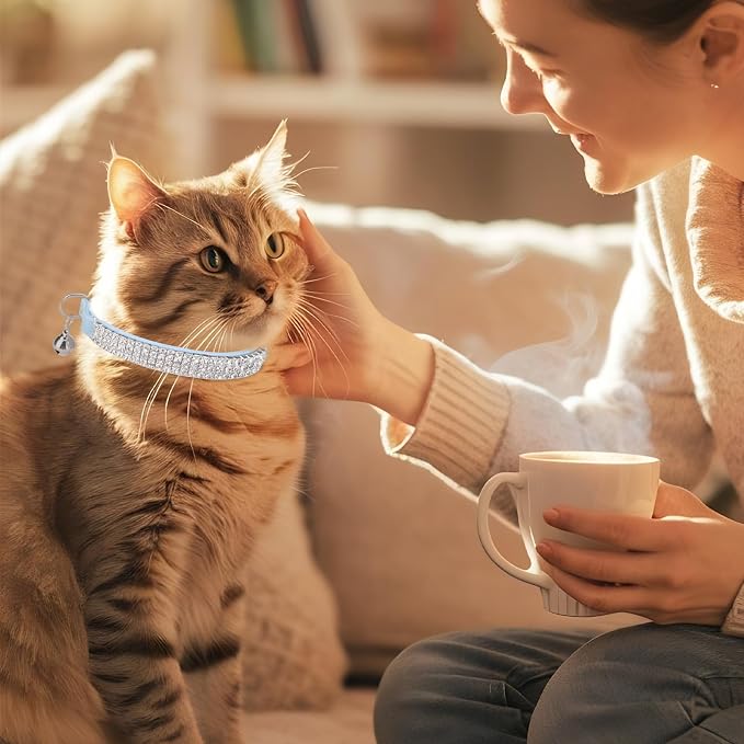 EXPAWLORER Soft Velvet Safe Cat Collars - Image 8
