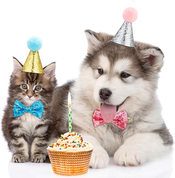 SATINIOR 4 Pieces Cat Birthday Hat Bowtie Small Dog Hat Headband Topper Bowtie - Image 4