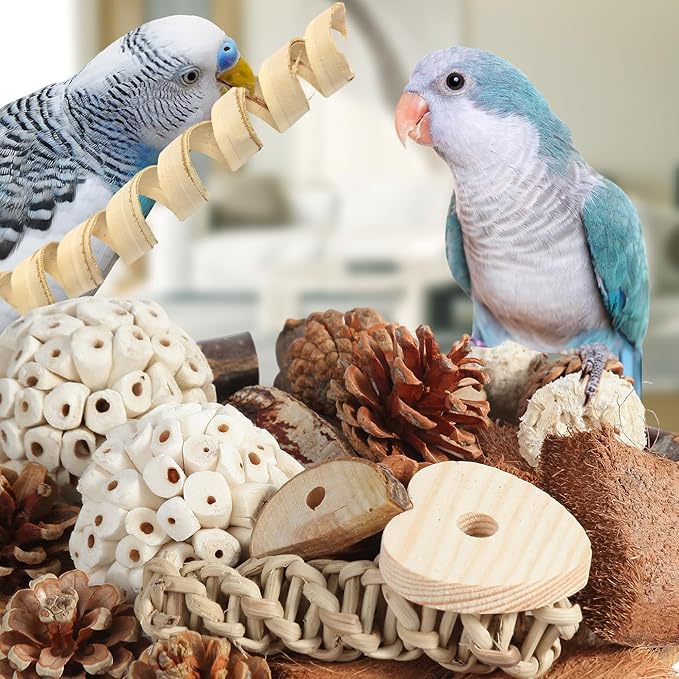 Kyouki Bird Toys Parrot Natural Bird Foraging Box Foot Toys - Image 2