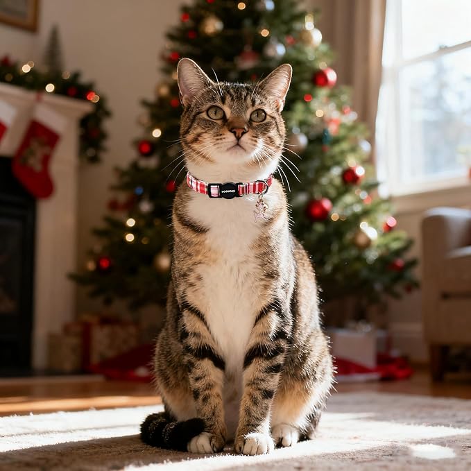 2 Pack Christmas Plaid Cat Collars Breakaway - Image 6