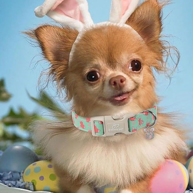 Easter Dog Collar for Small Dogs - Image 3