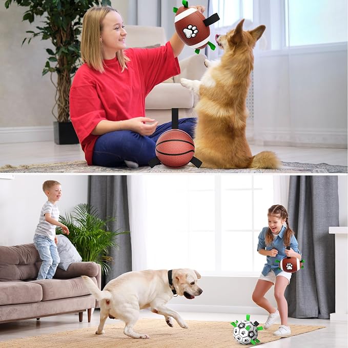 QDAN Dog Soccer Ball Football Basketball Set - Image 2