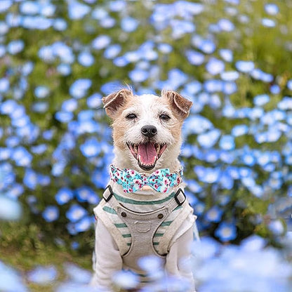 Elegant little tail Dog Collar, Rose Print Pet Collar Summer Dog Collar Durable - Image 5