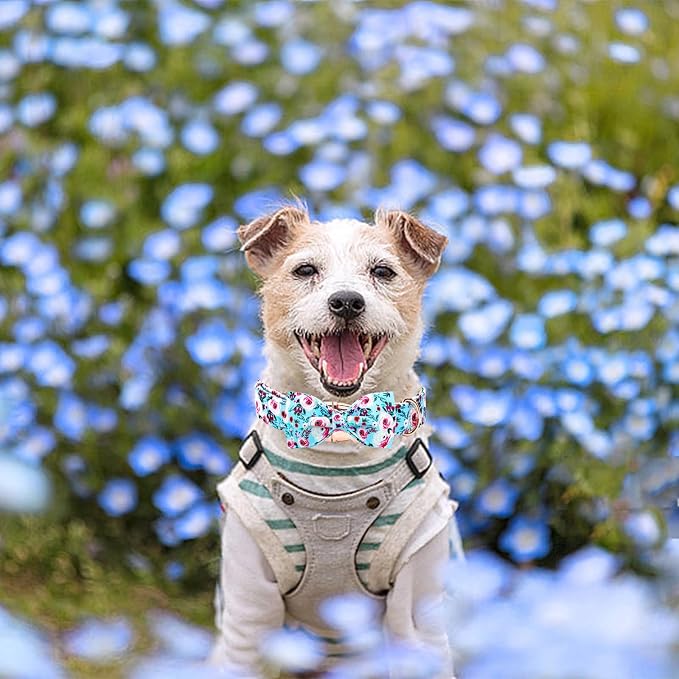 Elegant little tail Dog Collar, Rose Print Pet Collar Summer Dog Collar Durable - Image 5