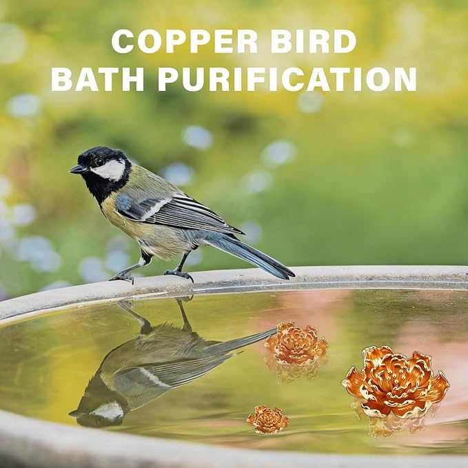 4 Pcs Peony Shape Bird Bath Copper Disk Accessories, Brass Bird Bath - Image 7