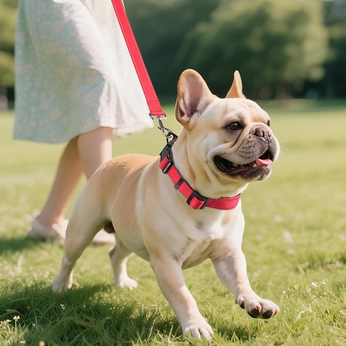 Joytale Reflective Dog Collar, Soft Neoprene Padded Breathable Nylon Pet Collar - Image 6