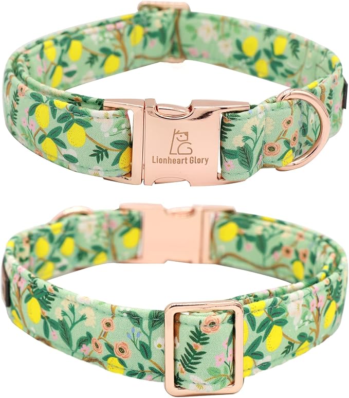 Lionheart Glory Dog Collar, Dog Collar - Image 4