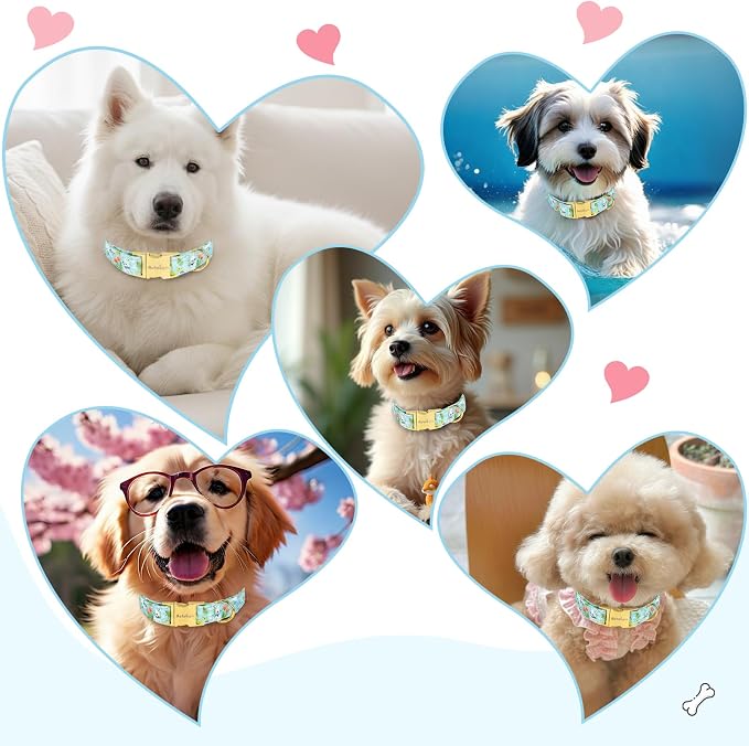 Easter Dog Collar for Extra Small Dogs, Easter & Spring Theme Small Dog Collar - Image 8