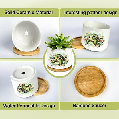 Turtle Succulent Pots 3 Pack, 3 Inch Succulent Planters - Image 4