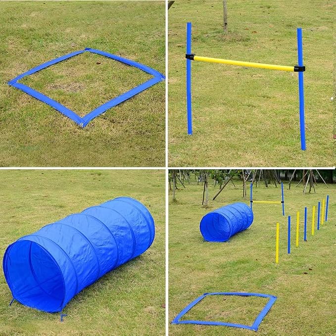 PAWISE Dog Agility Training Equipment, Complete Dog Obstacle Course Kit - Image 3