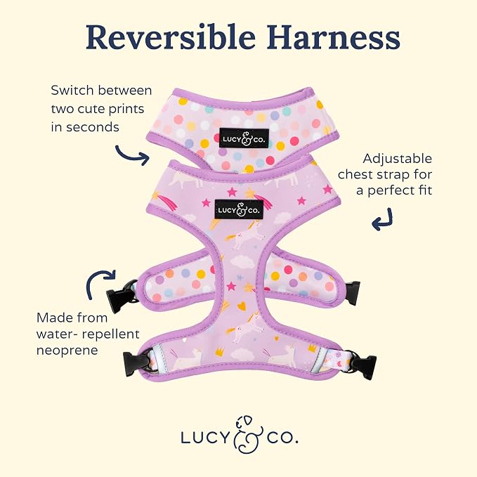 Lucy & Co. Cute Reversible Dog Harness Walking Halter - Image 2