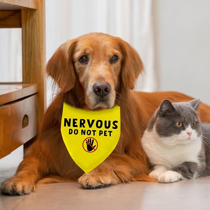 Nervous Do Not Pet Dog Bandana, Nervous Anxious Dog Bandana No Hand Sniffs Gift - Image 6