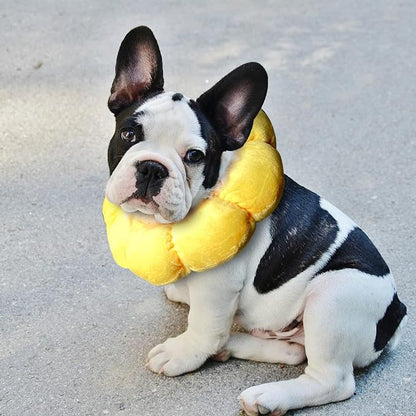 KUDES Cat Small Dog Recovery Collar, Cute Sunflower Neck Cone After Surgery - Image 6