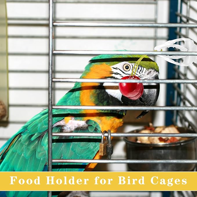 6 Pieces Bird Cage Food Holder Parrot Fruit Vegetable Clips Bird Cage Feeder - Image 5