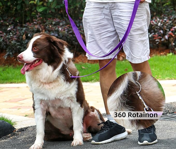 AMAGOOD Dog/Puppy Obedience Recall Training Agility Lead-15 ft 20 ft 30 ft 50 - Image 3