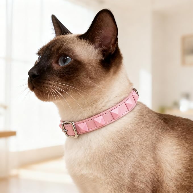 EXPAWLORER Halloween Leather Cat Collar - Image 6