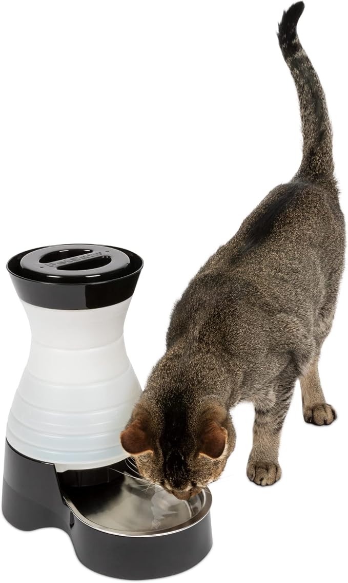 PetSafe Healthy Pet Water Station by PetSafe