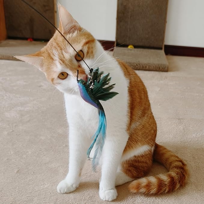 Interactive Cat Toys for Indoor Cats - Image 4